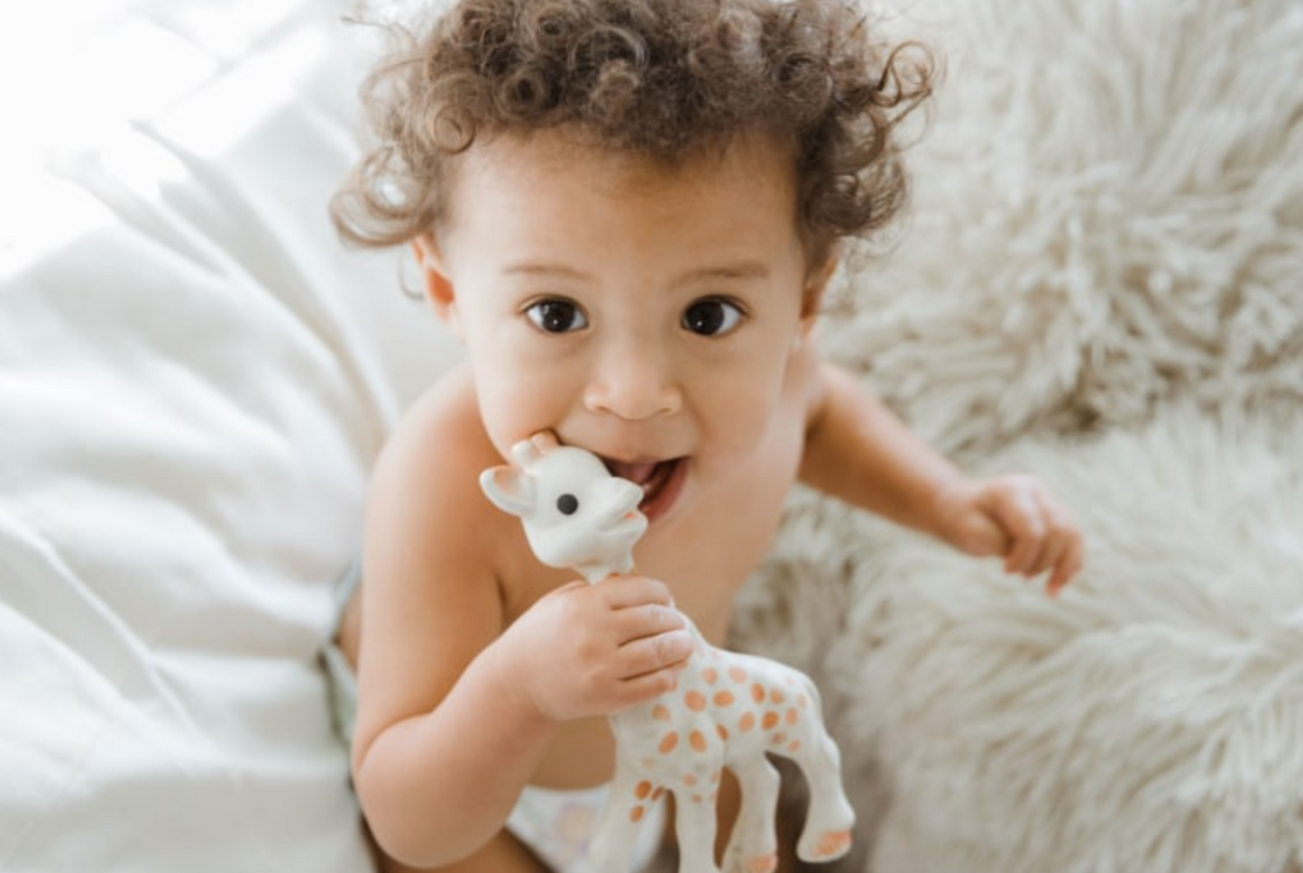 Sophie La Girafe