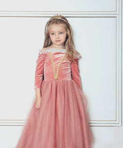 Princess Briar Rose Pink Dress