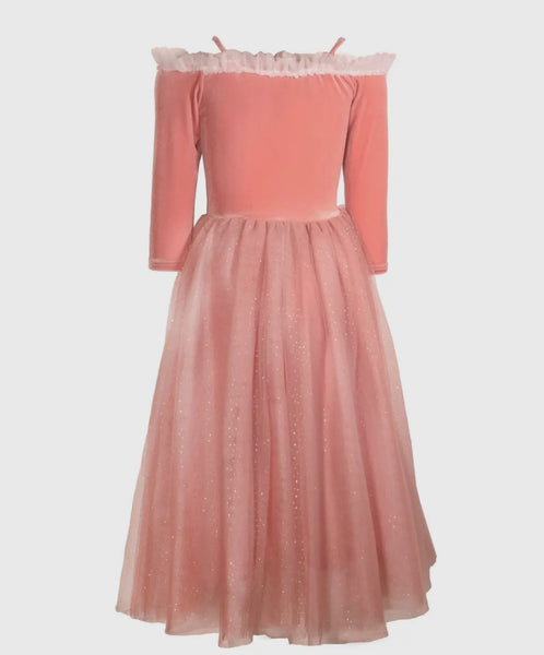 Princess Briar Rose Pink Dress