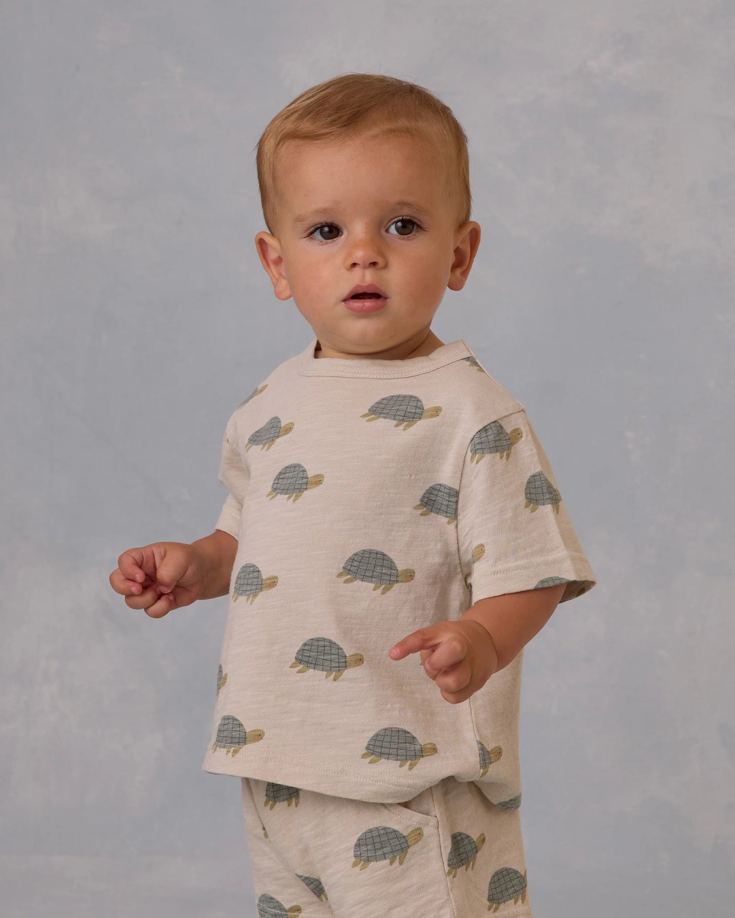 Playset || Sea Turtles